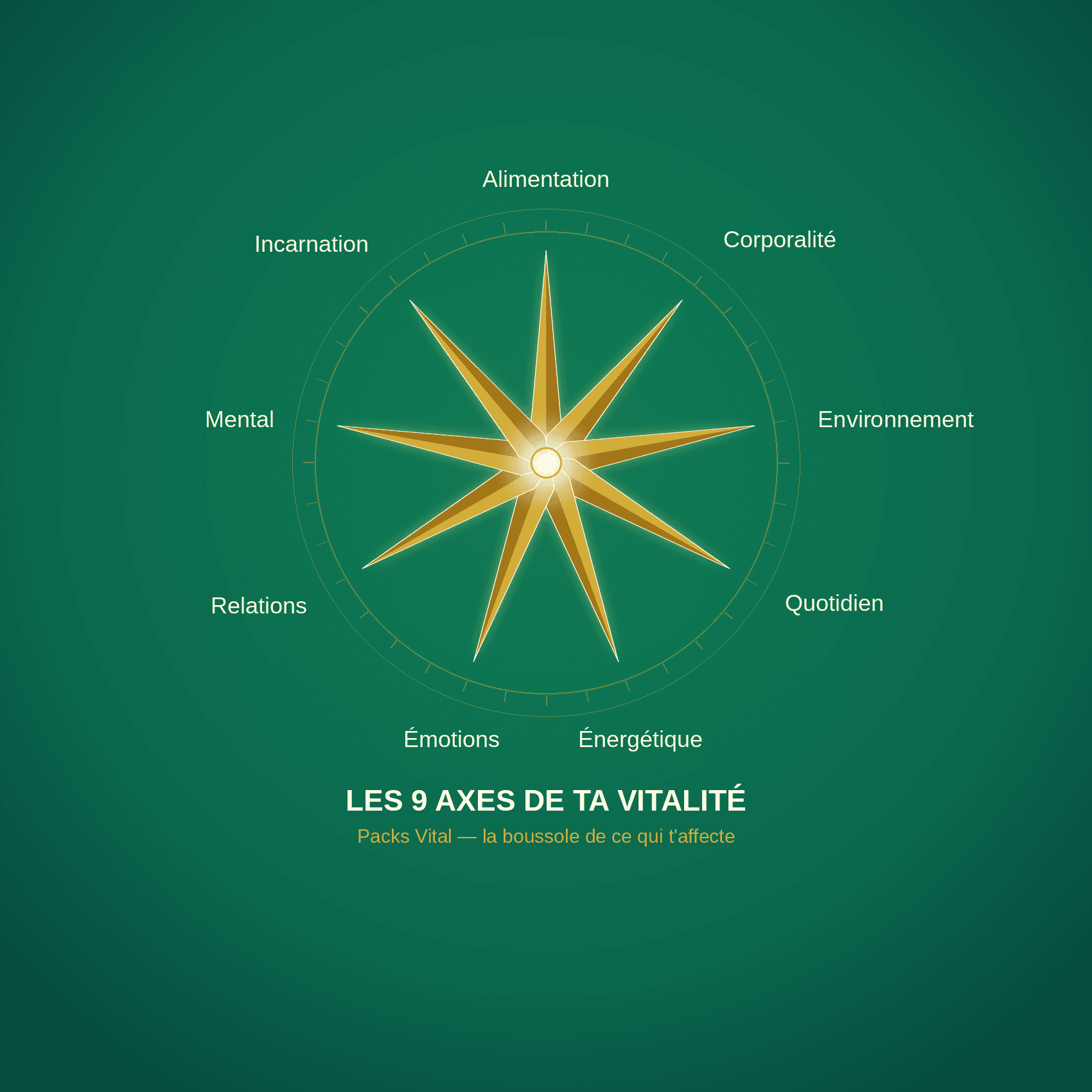 Vue d'ensemble des 9 axes de la vitalité explorés durant l'accompagnement Packs Vital